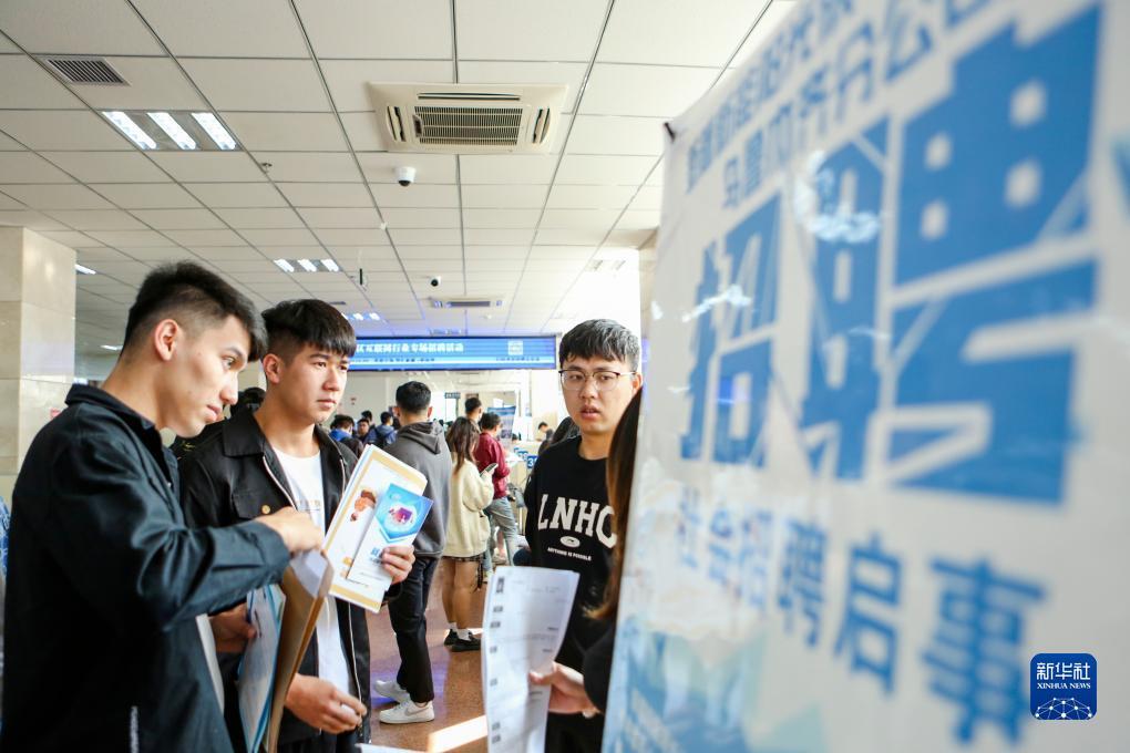为什么找不到波克捕鱼微信版